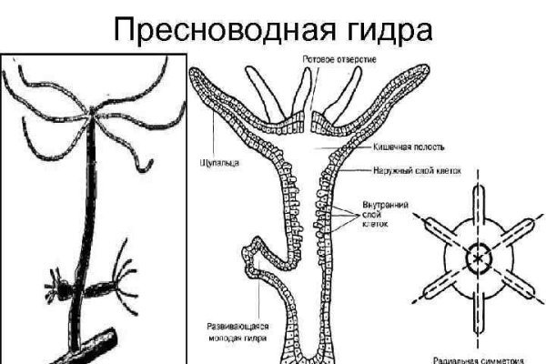 Кракен сбой