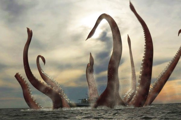 Kraken ссылка